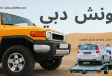 ونج دبي