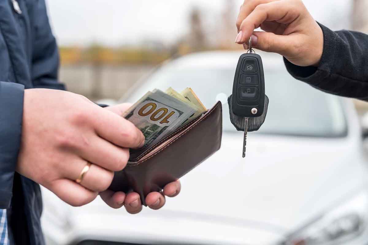 وش السيارة اللي تصلح لك